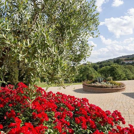 Villa Poggio Pellicciaia Arezzo Exterior foto